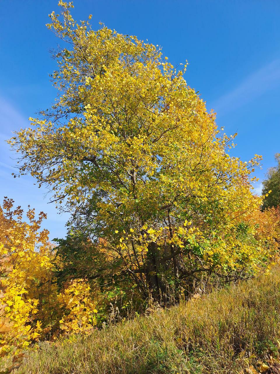 Свияжск остров-град